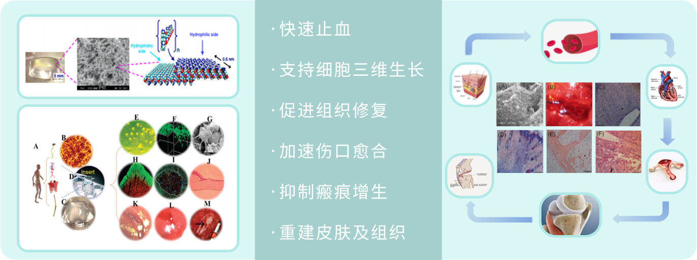 202309181619.png 微信图片_20230918000031.png